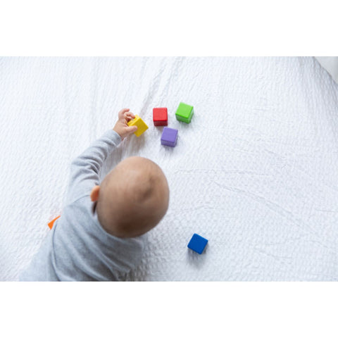 Plan Toys - Blocchi di Attività