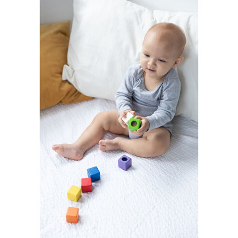 Plan Toys - Blocchi di Attività