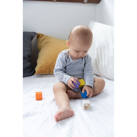 Plan Toys - Blocchi di Attività