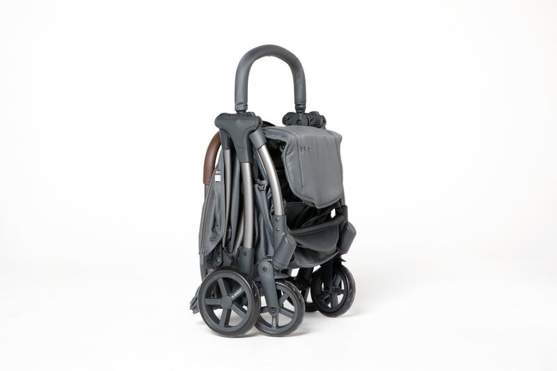 Mast Swiss - Passeggino M2