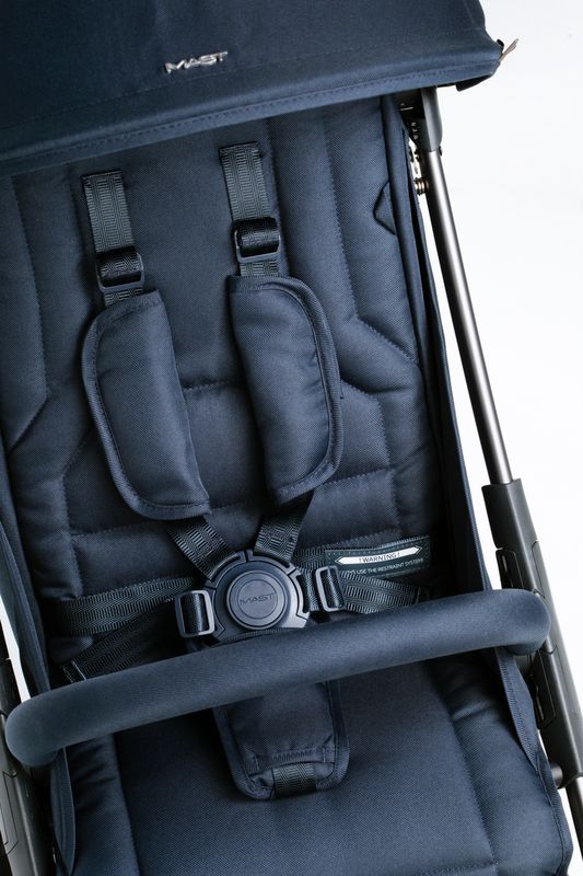 Mast Swiss - Passeggino M2