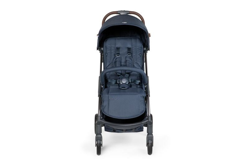 Mast Swiss - Passeggino M2