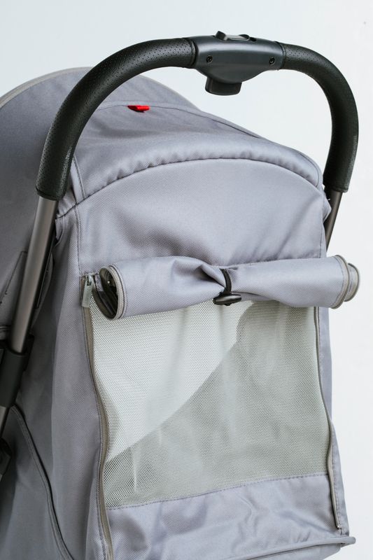 Mast Swiss - Passeggino M2