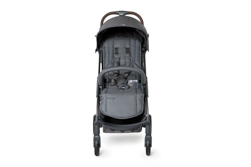 Mast Swiss - Passeggino M2