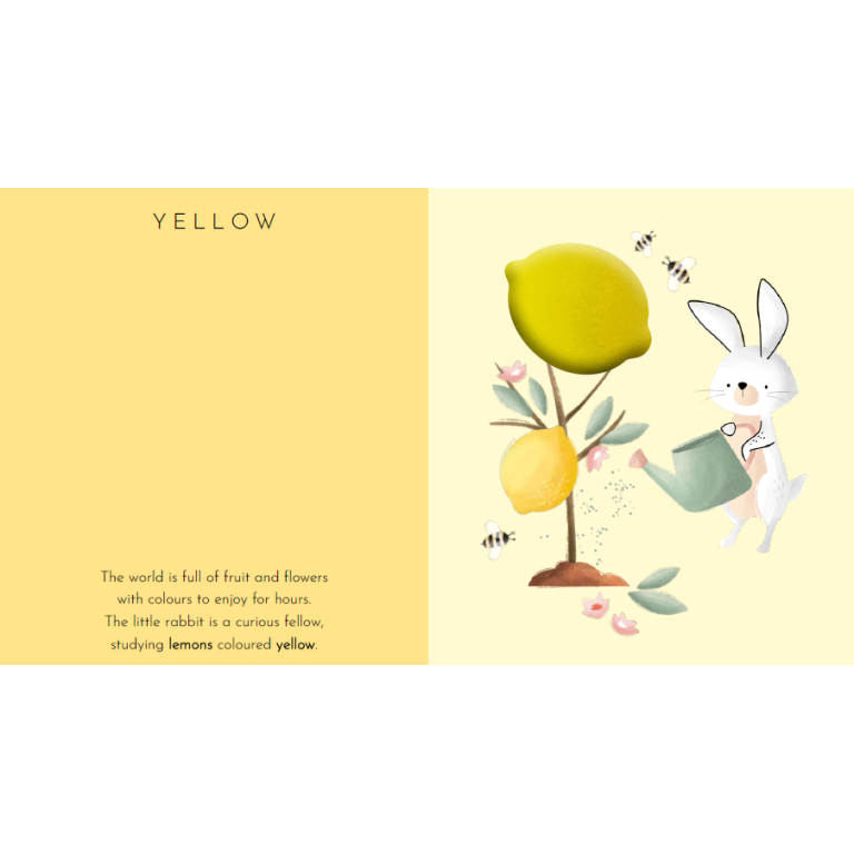 Touch and feel - Tocca anche tu i colori