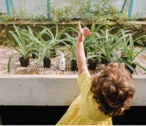 Linea Mamma Baby - Zeta Baby