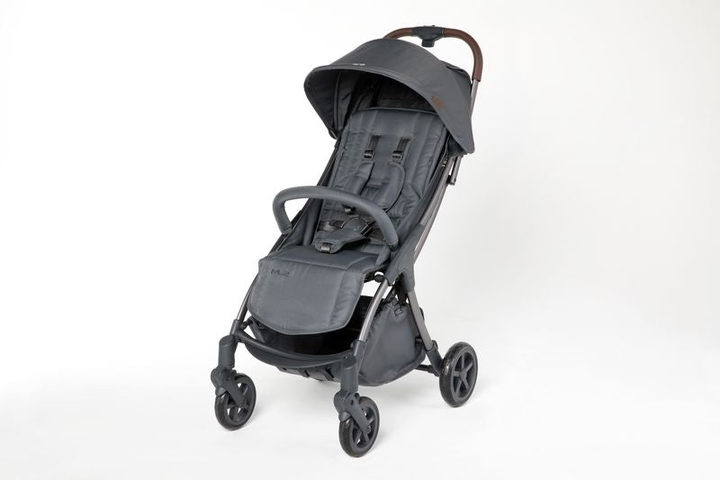 Mast Swiss - Passeggino M2