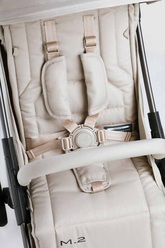 Mast Swiss - Passeggino M2