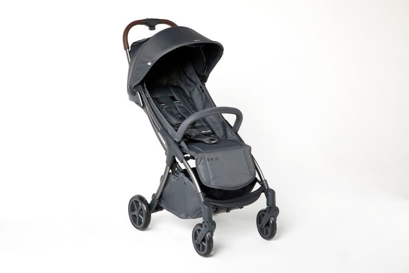 Mast Swiss - Passeggino M2