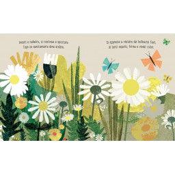 Ape - libro illustrato e intagliato - Nani&S di Enza Tramontana