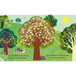 Ape - libro illustrato e intagliato - Nani&S di Enza Tramontana