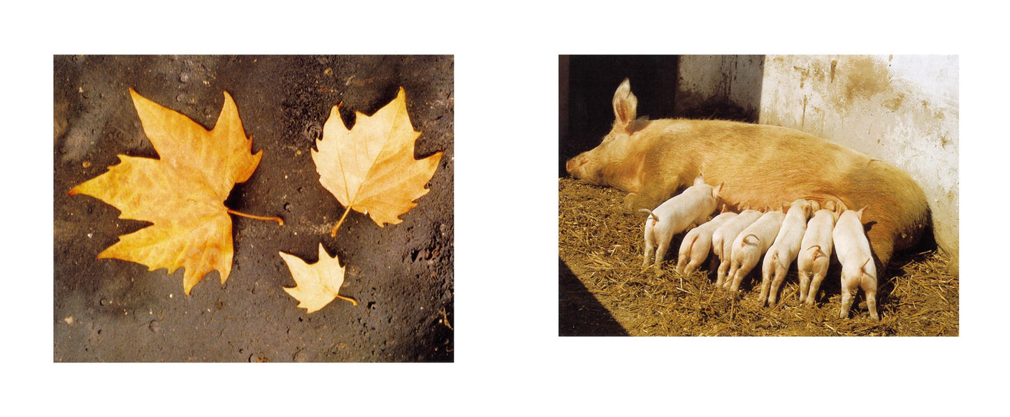 Più grande più piccolo