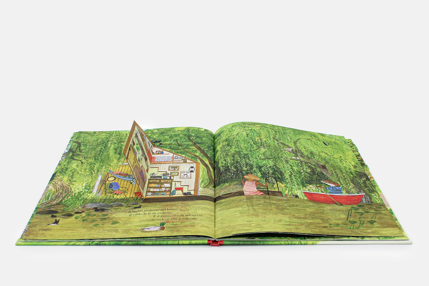 Il bosco di topino - un anno nella natura