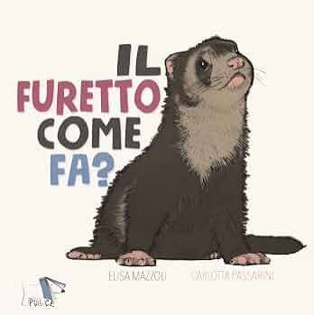 Il furetto come fa?
